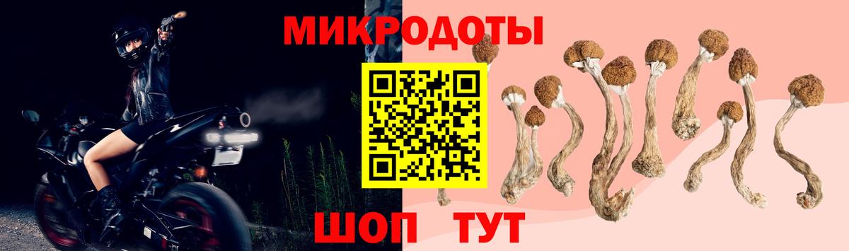 Псилоцибиновые грибы Magic Shrooms  Вход с VPN  Дербент  купить наркотики цена  Псилоцибиновые грибы MAGIC MUSHROOMS 